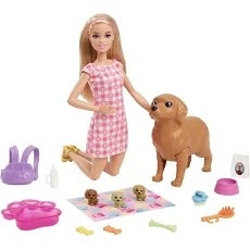 Barbie rodina - Barbie